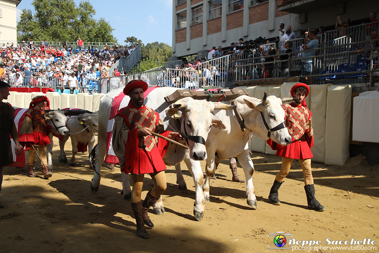 VBS_1002 - Palio di Asti 2024.jpg